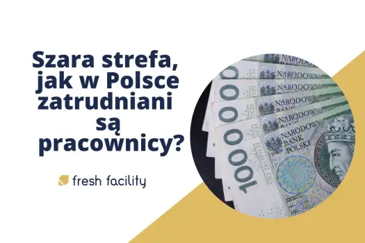 Szara strefa i podatki - gdzie kończy się legalna optymalizacja?